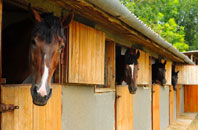 free Burneside stable construction quotes